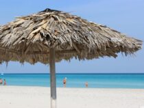 Découvrez les plus belles plages de l’île Maurice